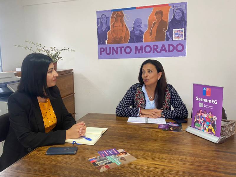 SernamEG y Servicio de Reinserción Social Juvenil de Coquimbo coordinan trabajo para favorecer la reinserción de jóvenes 