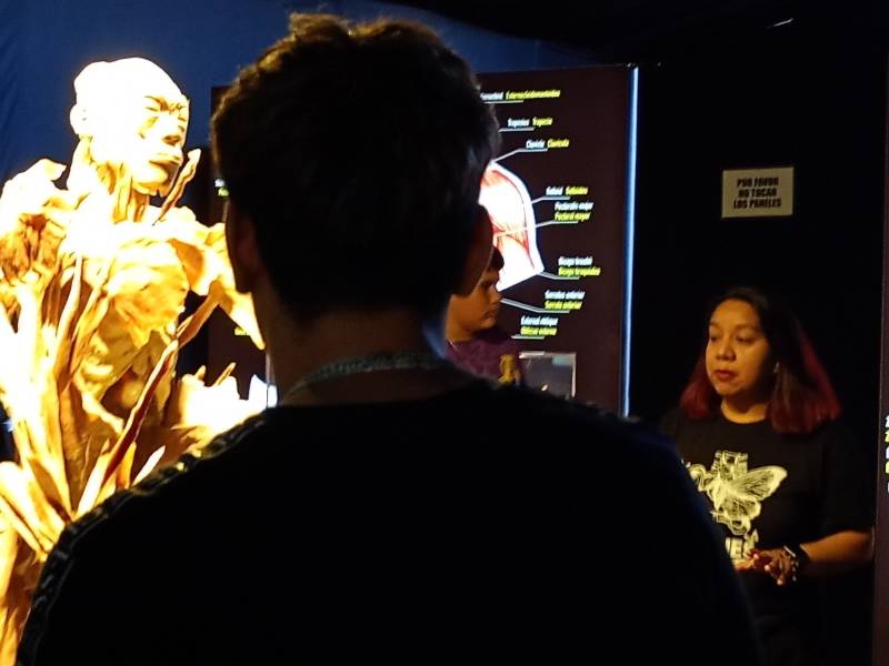 Coquimbo: Jóvenes en reinserción visitan exposición "Bodies Evolution"