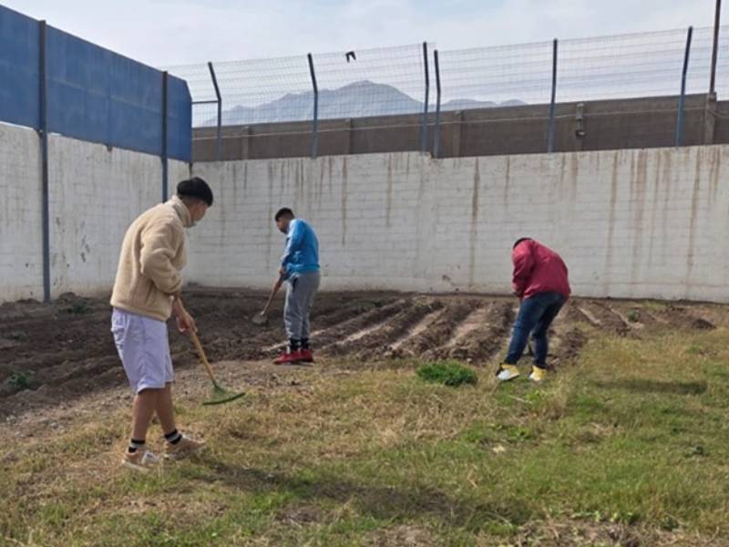 Atacama: Jóvenes generarán huerto orgánico gracias a convenio con Agricultura
