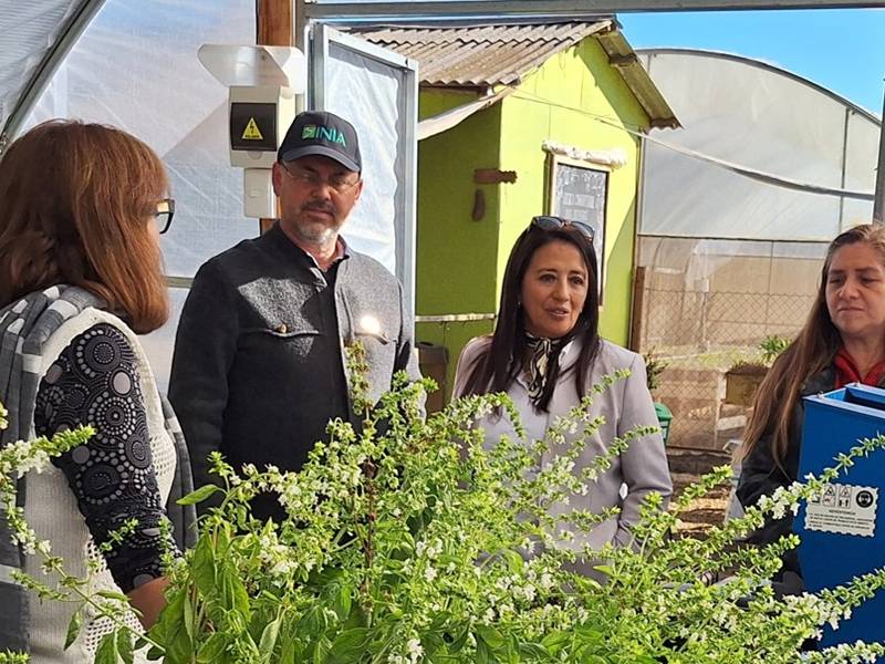 Coquimbo: Convenio con INIA impulsa la reinserción mediante la agroecología