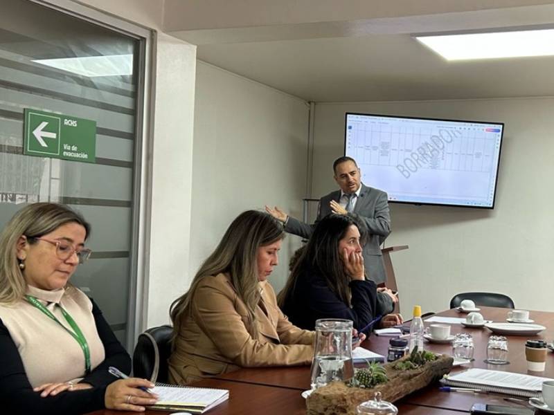 Ñuble: Priorizan lineamientos para el Plan Regional de Reinserción Social Juvenil