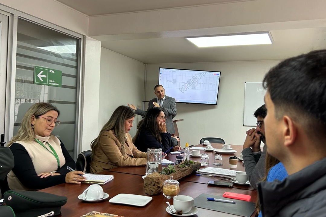 Ñuble: Priorizan lineamientos para el Plan Regional de Reinserción Social Juvenil