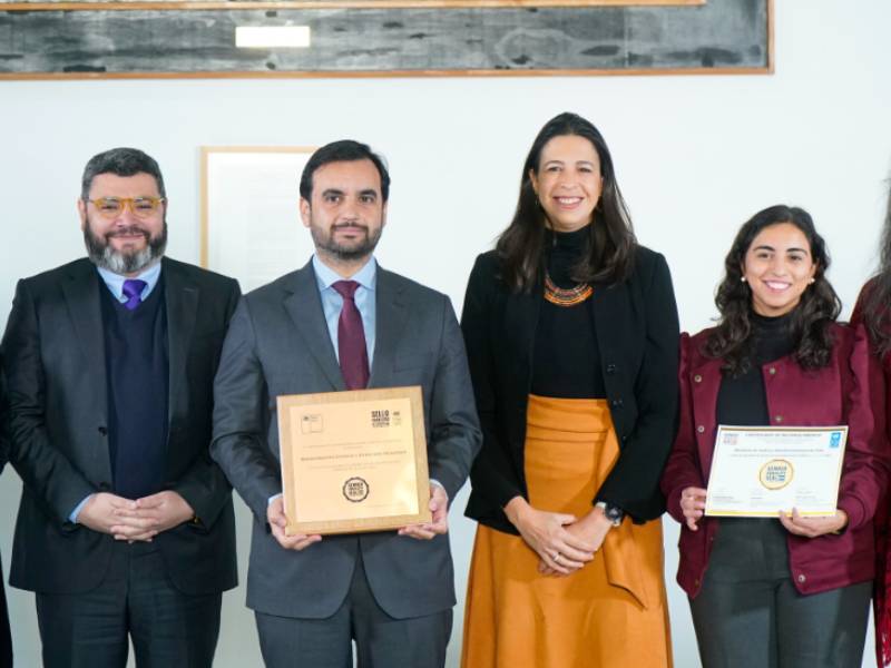 Ministerio de Justicia y DD.HH. recibe máxima distinción del PNUD en Igualdad de Género
