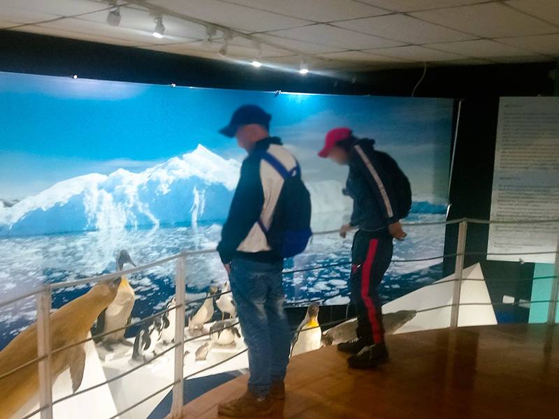 Magallanes: Jóvenes en Reinserción viven experiencia cultural en museo