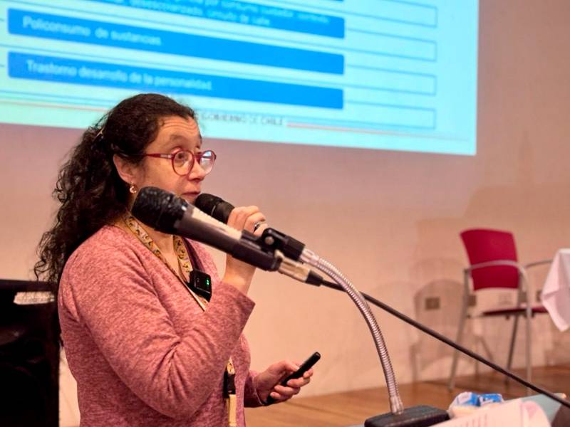 Aysén: Servicio y Protección a la Niñez y Adolescencia abordan trauma complejo en jornada formativa para equipos de infancia y adolescencia